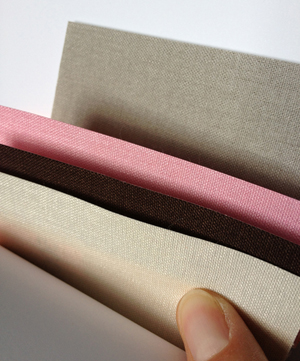 Palette toile 300